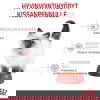 Royal Canin Kitten kissanpennun kuivaruoka