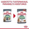 Royal Canin Digestive Care Gravy Adult kissan märkäruoka