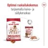 Royal Canin Medium Adult koiran kuivaruoka
