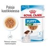Royal Canin Mini Puppy koiranpennun märkäruoka 12x85g