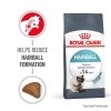 Royal Canin Hairball Care Adult kissan kuivaruoka