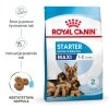 Royal Canin Maxi Starter koiran ja koiranpennun kuivaruoka