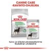 Royal Canin Digestive Care Mini Adult koiran kuivaruoka