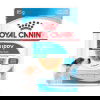 Royal Canin Mini Puppy koiranpennun m&auml;rk&auml;ruoka 12x85g