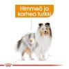 Royal Canin Coat Care Mini Adult koiran kuivaruoka