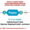 Royal Canin German Shepherd Puppy koiranpennun kuivaruoka