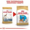 Royal Canin Boxer Puppy koiranpennun kuivaruoka