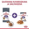 Royal Canin Appetite Control Care Gravy Adult kissan märkäruoka