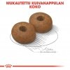 Royal Canin Maxi Ageing 8+ koiran kuivaruoka