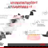 Royal Canin Kitten Jelly kissanpennun märkäruoka 12x85 g