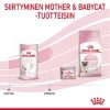 Royal Canin Babycat Milk maito kissanpennulle 300 g