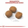Royal Canin Giant Puppy koiranpennun kuivaruoka