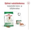 Royal Canin Mini Adult koiran kuivaruoka