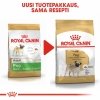 Royal Canin Pug Adult koiran kuivaruoka