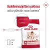 Royal Canin Medium Adult koiran kuivaruoka