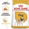 Royal Canin Pug Adult koiran kuivaruoka