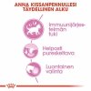 Royal Canin Kitten Gravy kissanpennun märkäruoka 12x85 g