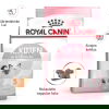 Royal Canin Kitten kissanpennun kuivaruoka