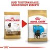 Royal Canin Rottweiler Puppy koiranpennun kuivaruoka