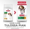 Hills Science Plan Puppy Medium Chicken