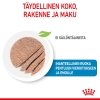 Royal Canin Mother & Babydog Starter Mousse märkäruoka nartuille ja vieroitettaville pennuille