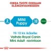 Royal Canin Mini Puppy koiranpennun kuivaruoka