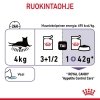 Royal Canin Appetite Control Care Gravy Adult kissan märkäruoka