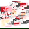 Royal Canin Medium Adult Gravy koiran märkäruoka 10x140g