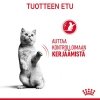 Royal Canin Appetite Control Care kissan kuivaruoka