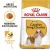 Royal Canin Cavalier King Charles Adult koiran kuivaruoka