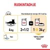 Royal Canin Sensory Taste Gravy Adult kissan märkäruoka 12x85g