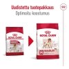 Royal Canin Medium Adult koiran kuivaruoka