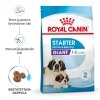 Royal Canin Giant Starter koiranpennun kuivaruoka