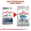 Royal Canin Joint Care Maxi Adult koiran kuivaruoka