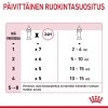 Royal Canin Babycat Milk maito kissanpennulle 300 g