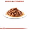 Royal Canin Kitten Gravy kissanpennun märkäruoka 12x85 g