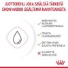 Royal Canin Babycat Milk maito kissanpennulle 300 g
