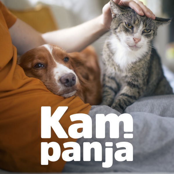 Helmikuun kampanja! Katso tarjoukset
