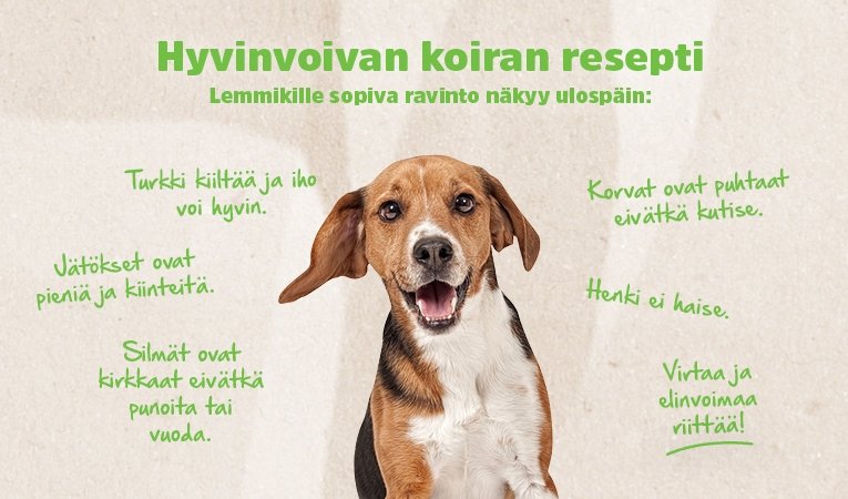 Hyvinvoivan koiran resepti