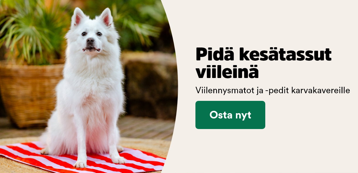 Tassut viilein&auml;