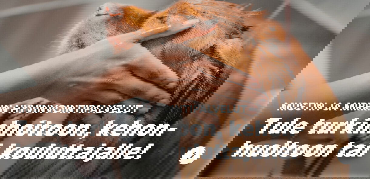 Tule turkinhoitoon, kehonhuoltoon tai kouluttajalle!