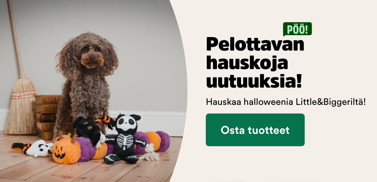 Pelottavan hauskoja Halloween uutuuksia