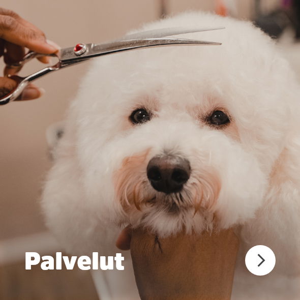 puppyfront_navigation_services