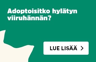 Kodittoman kissan adoptointi