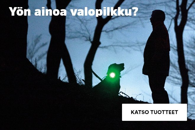 Valotuotteet