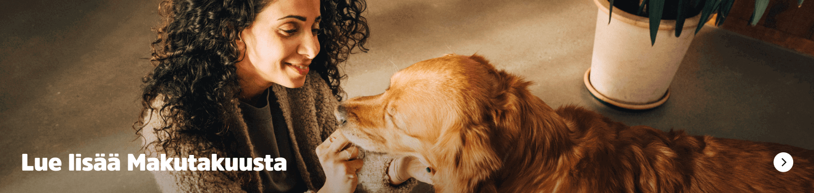 Lue lisää Makutakuusta.