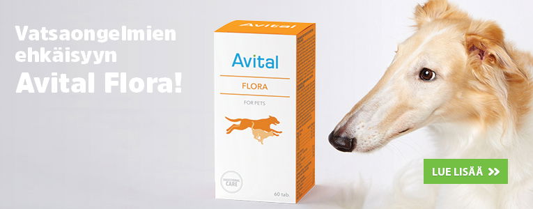 Avital Flora