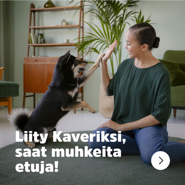 puppyfront_navigation_loyalcustomer