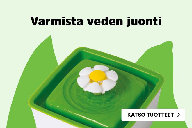 vedenjuonti