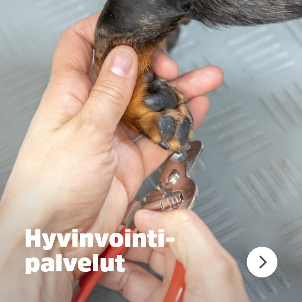Hyvinvointipalvelut